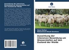 Buchcover von Auswirkung der intensiven Beweidung um Wasserstellen auf den Zustand der Weide