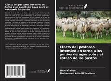 Bookcover of Efecto del pastoreo intensivo en torno a los puntos de agua sobre el estado de los pastos