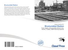 Bookcover of Brumunddal Station