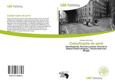 Capa do livro de Catastrophe de pont 