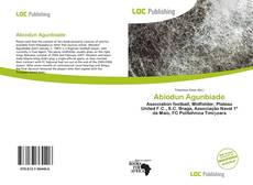 Bookcover of Abiodun Agunbiade