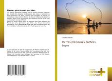 Обложка Pierres précieuses cachées