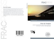 Copertina di Pont de Yangluo