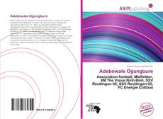 Capa do livro de Adebowale Ogungbure 