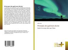 Bookcover of Principes de guérison divine