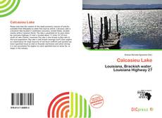 Copertina di Calcasieu Lake