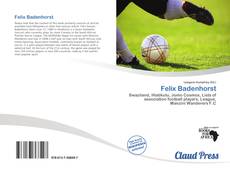 Bookcover of Felix Badenhorst