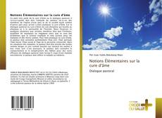 Bookcover of Notions Élémentaires sur la cure d'âme