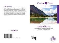 Capa do livro de Lake Bistineau 