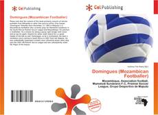 Capa do livro de Domingues (Mozambican Footballer) 