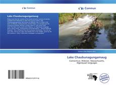 Lake Chaubunagungamaug kitap kapağı