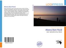 Bookcover of Alcona Dam Pond