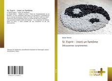 Bookcover of St. Esprit – (non) un fantôme