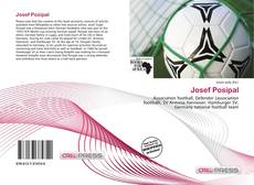 Couverture de Josef Posipal