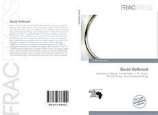 David Holbrook的封面