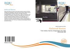 Bookcover of Galterud Station