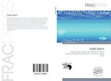 Fadil Vokrri kitap kapağı