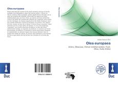 Buchcover von Olea europaea