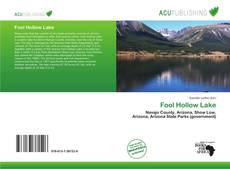 Bookcover of Fool Hollow Lake