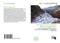 Bookcover of Meyer Guggenheim