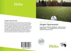 Couverture de Jürgen Sparwasser