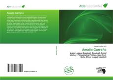 Bookcover of Amalio Carreño