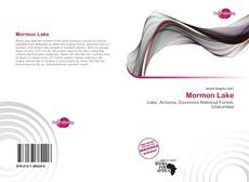 Bookcover of Mormon Lake