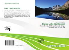 Buchcover von Baker Lake (California)