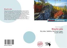Borítókép a  Bicycle Lake - hoz