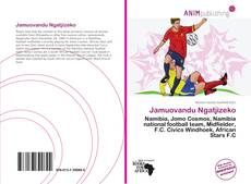 Capa do livro de Jamuovandu Ngatjizeko 