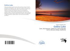Capa do livro de Collins Lake 