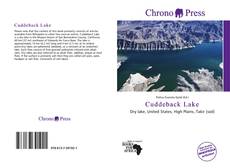 Bookcover of Cuddeback Lake