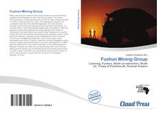 Bookcover of Fushun Mining Group