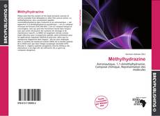 Buchcover von Méthylhydrazine