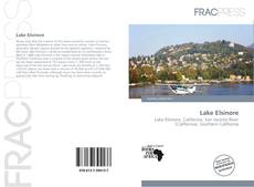 Copertina di Lake Elsinore