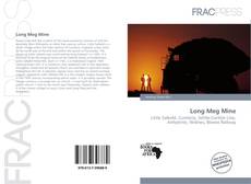 Copertina di Long Meg Mine