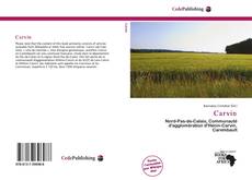 Portada del libro de Carvin