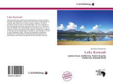 Lake Kaweah kitap kapağı