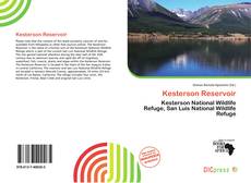 Kesterson Reservoir的封面