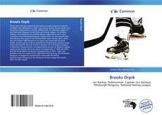 Capa do livro de Brooks Orpik 