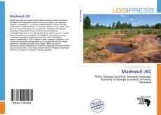 Bookcover of Madneuli JSC