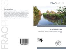 Copertina di Manzanita Lake