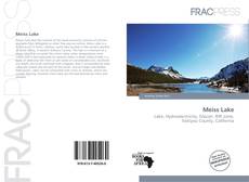 Bookcover of Meiss Lake