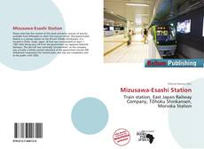 Bookcover of Mizusawa-Esashi Station