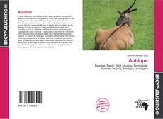 Buchcover von Antilope