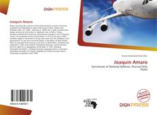 Couverture de Joaquín Amaro