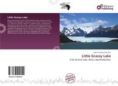 Capa do livro de Little Grassy Lake 