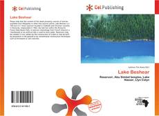 Lake Beshear kitap kapağı