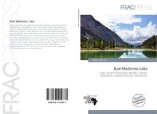 Bookcover of Bad Medicine Lake