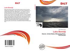 Lake Bemidji kitap kapağı
